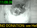 11:08:39