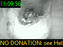 11:09:56