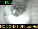 11:10:17