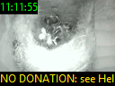 11:11:55