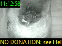 11:12:58