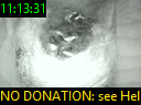 11:13:31