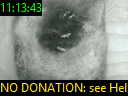 11:13:43