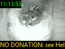 11:13:53