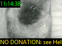 11:14:38