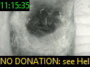 11:15:35