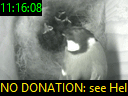 11:16:08