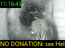 11:16:43