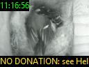 11:16:56