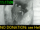 11:17:09