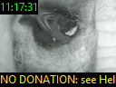 11:17:31