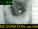 11:18:04