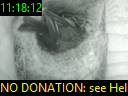 11:18:12