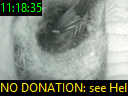 11:18:35