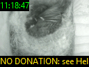 11:18:47