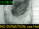 11:19:14