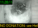 11:20:11