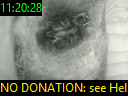 11:20:28