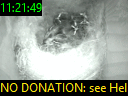 11:21:49
