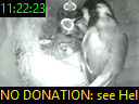11:22:23