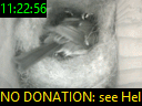 11:22:56