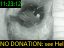 11:23:12