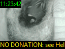 11:23:42