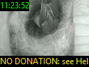 11:23:52