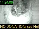 11:24:00
