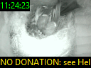 11:24:23