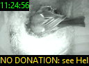 11:24:56