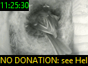 11:25:30