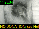 11:25:34