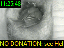 11:25:48