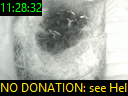 11:28:32
