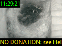 11:29:21