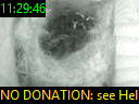 11:29:46
