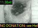 11:30:47
