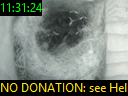 11:31:24
