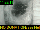 11:32:11