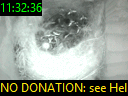 11:32:36