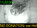 11:32:56
