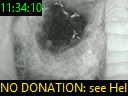 11:34:10