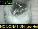 11:37:28