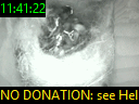 11:41:22