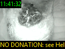 11:41:32