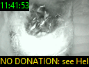 11:41:53