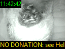 11:42:42