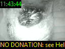 11:43:44