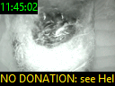 11:45:02